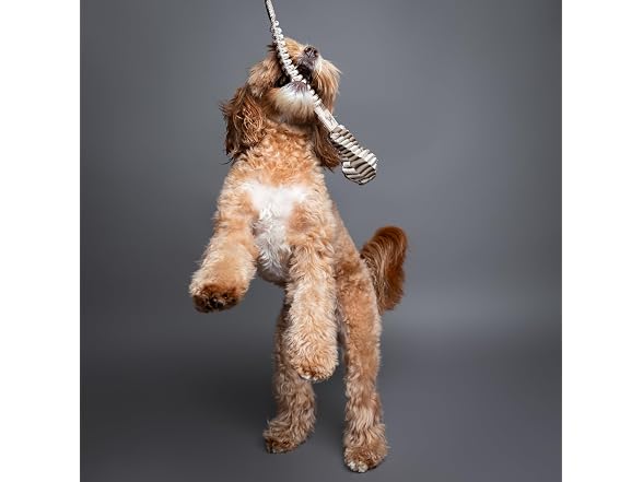 NOAH & PAW Luxury Dog Toy, Dog Rope Toy- Sling, Beige