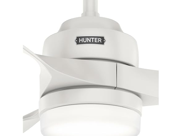 Hunter Fan 52 inch Ceiling Fan with Light
