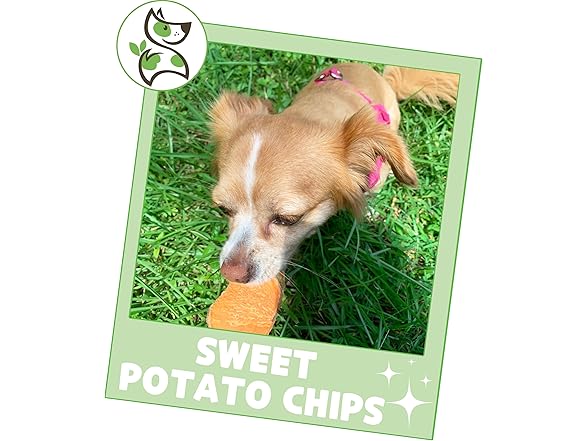 Nature Gnaws Sweet Potato Chips for Dogs