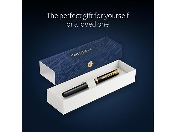 Waterman Waterman Impression Fountain Pen | Fine