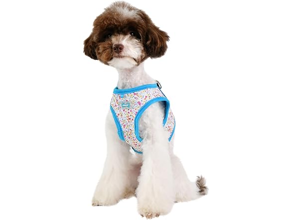 Puppia Wildflower Harness B Sky Blue