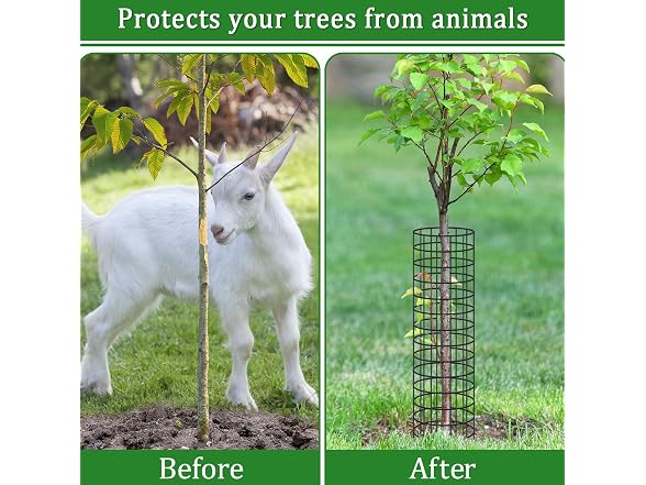 Niuyhe 12 Pack Tree Protectors from Deer