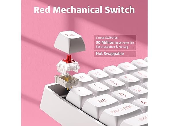 darkFlash darkFlash Wireless Mechanical Keyboard a