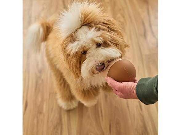 SPOT Treat Tumbler Mushroom – Freezable & Fillable