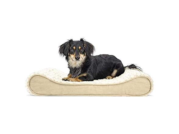 Furhaven Orthopedic Dog Bed for Medium Small Dogs