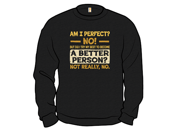 Am I Perfect?
