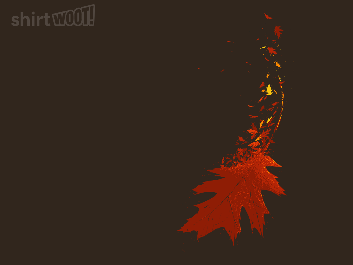 Fall - Gallery 4