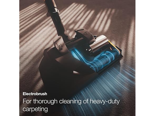 Miele Classic C1 Cat & Dog Bagged Canister Vacuum