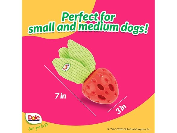 Dole for Pets Dog Puzzle Toy with Crinkle Squeak Insert