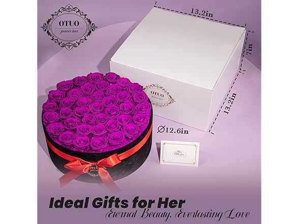 Otuo 40 Real Preserved Roses in Suede