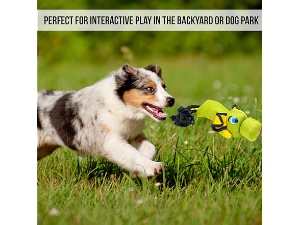 Hyper Pet Flying Series Fetching Dog Toys - Gallery 3