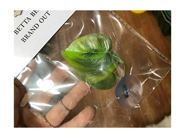 4-Pack Betta Fish Leaf Resting Pads