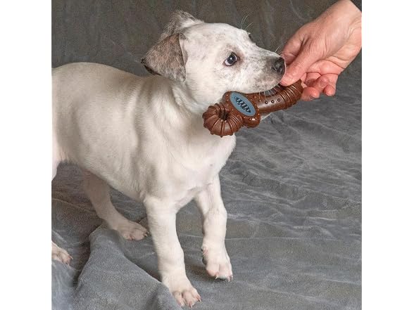 SPOT Bam-Bones Dental Pacifier Dog Chew Toy, Bison