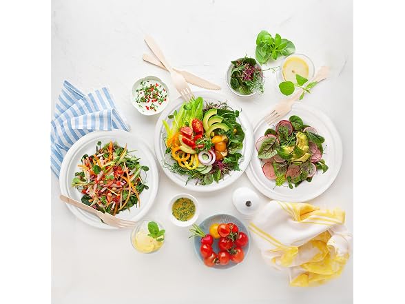Freshware Paper Plates - Disposable 10" Plate