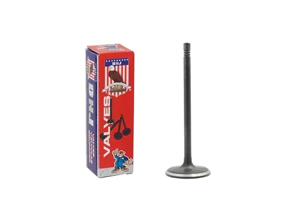 DNJ IV3138 Intake Valve for 2002-2006 