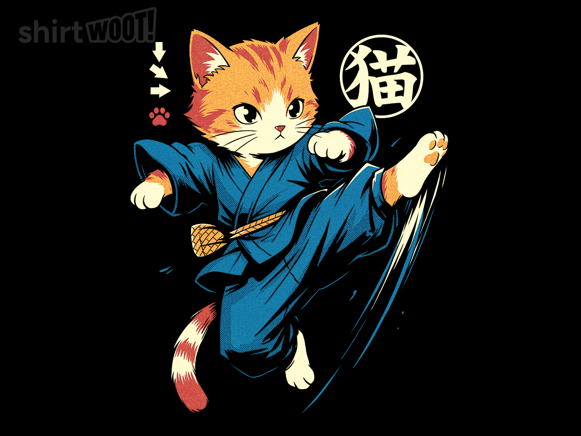 Ninja Cat - Gallery 9