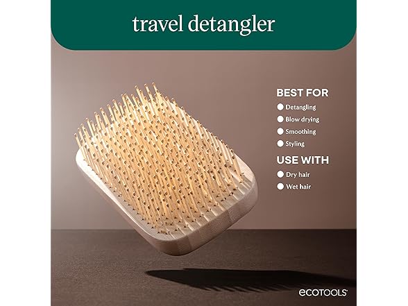 EcoTools Travel Detangler Hairbrush