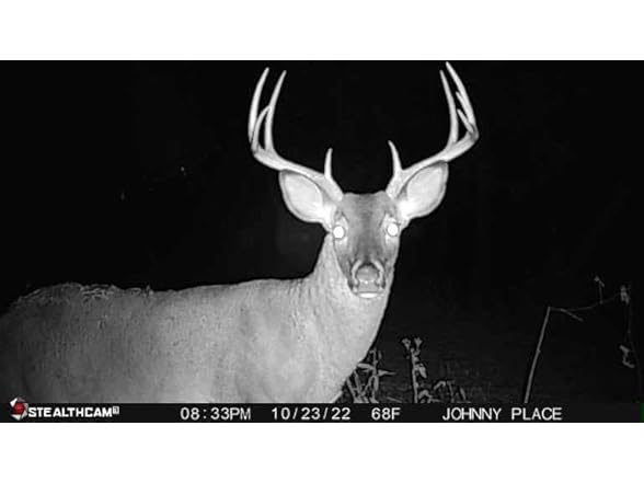 (3 PACK) Stealth Cam Connect Max Trail Camera