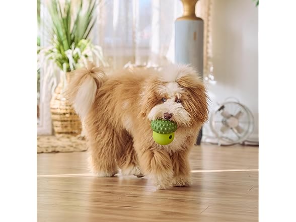 SPOT Treat Tumbler Broccoli – Freezable & Fillable