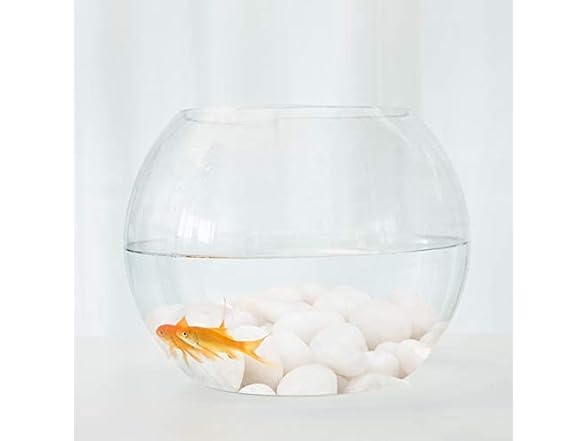 IVVTRYI Pet Supplies Aquarium Decorative Supplies