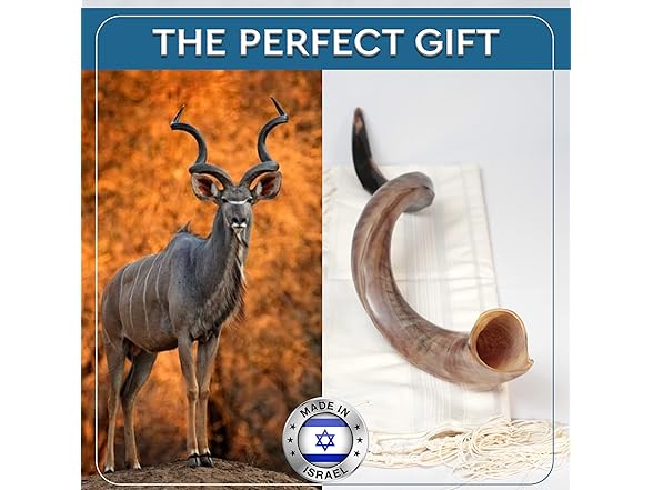 YOMTOV-SHALOM | Kudu Shofar 