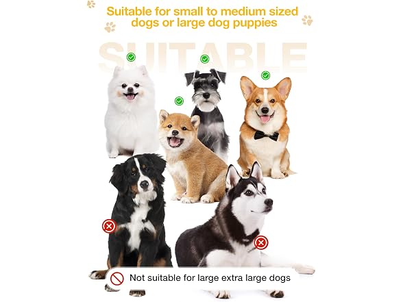Winter Dog Boots & Paw Protectors, Anti-Slip