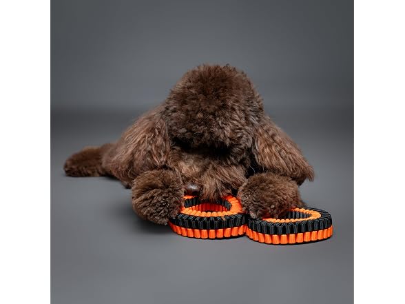 NOAH & PAW Luxury Dog Toy, Dog Rope Toy- Double Ring, Black