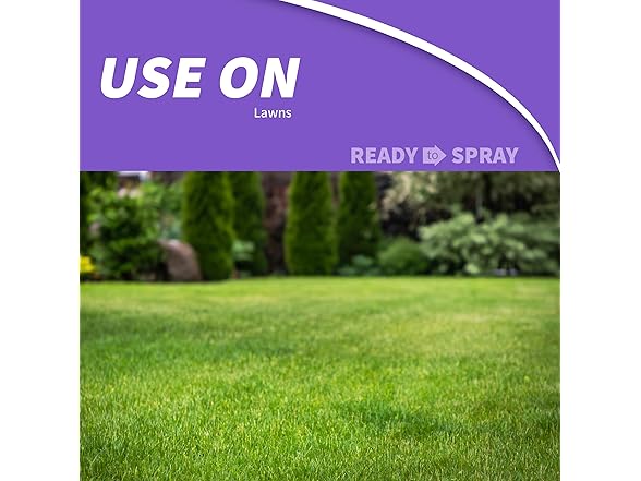 Bonide DuraTurf 29 oz Total Lawn Weed Control Ready-to-Spray