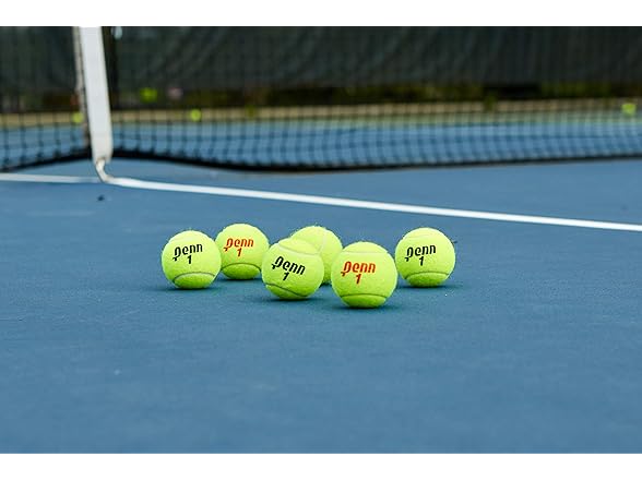 Penn Championship Tennis Balls 12 Cans