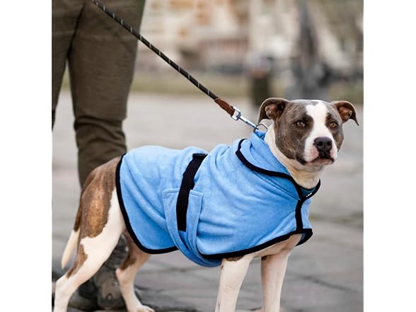 Dog Pajamas After Surgery Dog Recovery Onesi