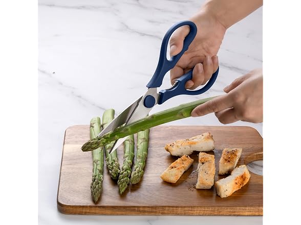 Stainless Steel Kitchen Shears