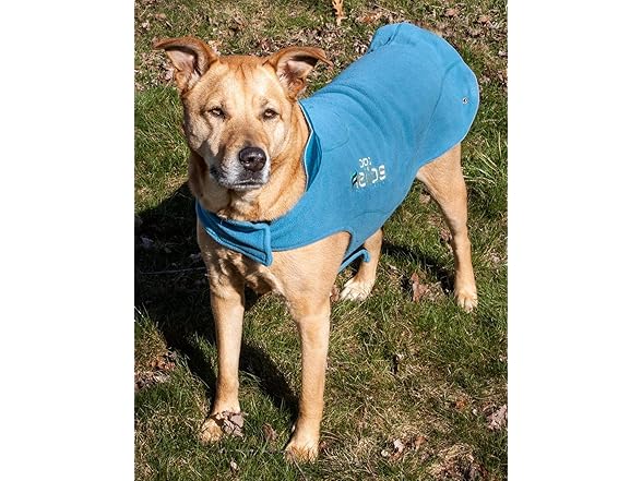 Pet Life ® 'Rusher Dog Sweater and Coat