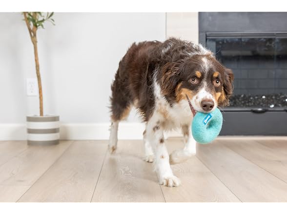 Chuckit! Chuckit! Woolee PlasticFree, Blue