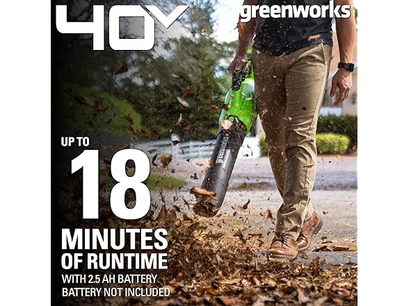 Greenworks Cordless Axial Leaf Blower