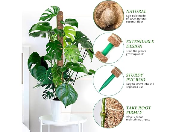 AVELOTUUG Moss Pole for Plants