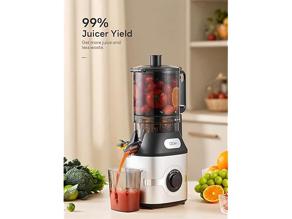 QCen Cold Press Juicer