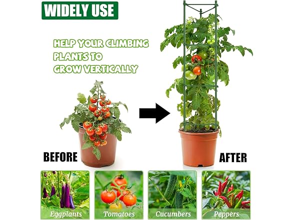 AUTOHAOL 6-Pack 48in Tomato Cage Garden