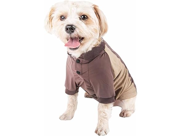 Pet Life ® Barko Pawlo Fitness Dog Polo