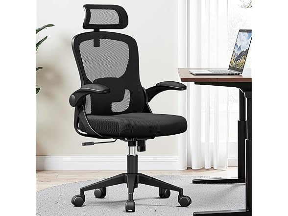 FINATI Office Chair Ergonomic Desk Chair