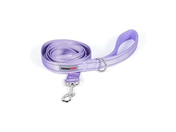 TRUKSPET 5FT Reflective Dog Leash