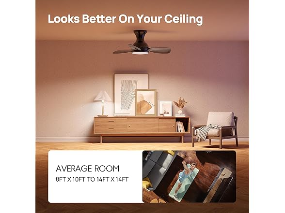 Consciot Ceiling Fan With Lights 30 Inch, Black