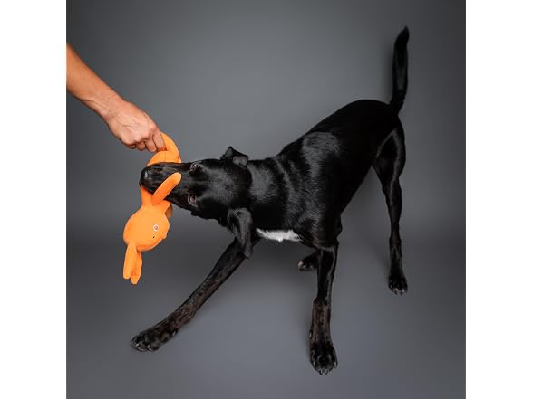 Noah & Paw Luxury dog toy, Stuffed Rabbit