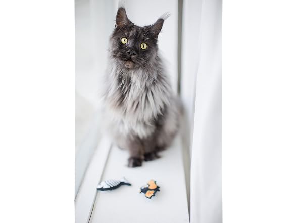 Pearhead Pearhead Halloween Halloween Cat Toys