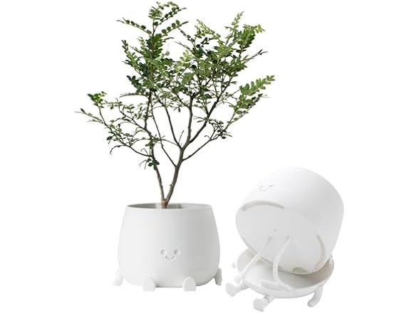 TOPOLA Happy Face Planter