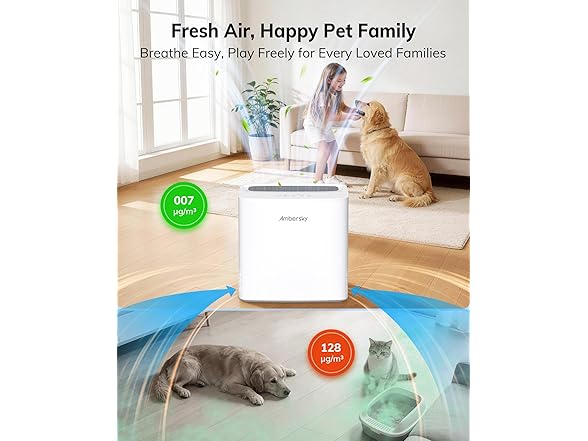 Ambersky Air Purifier