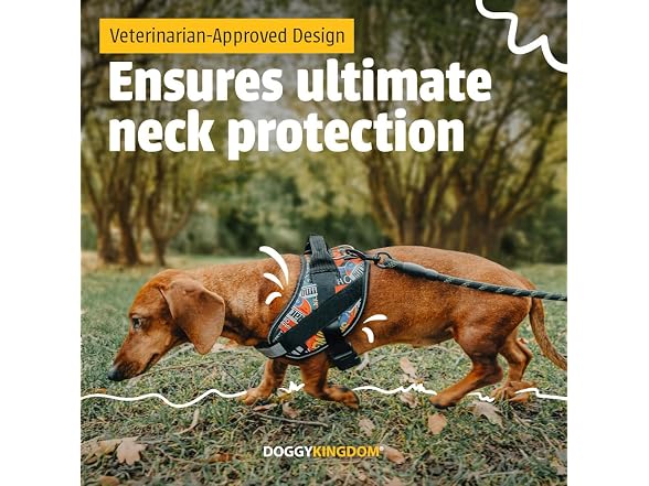 DOGGYKINGDOM No Choke Dog Harness with Handl