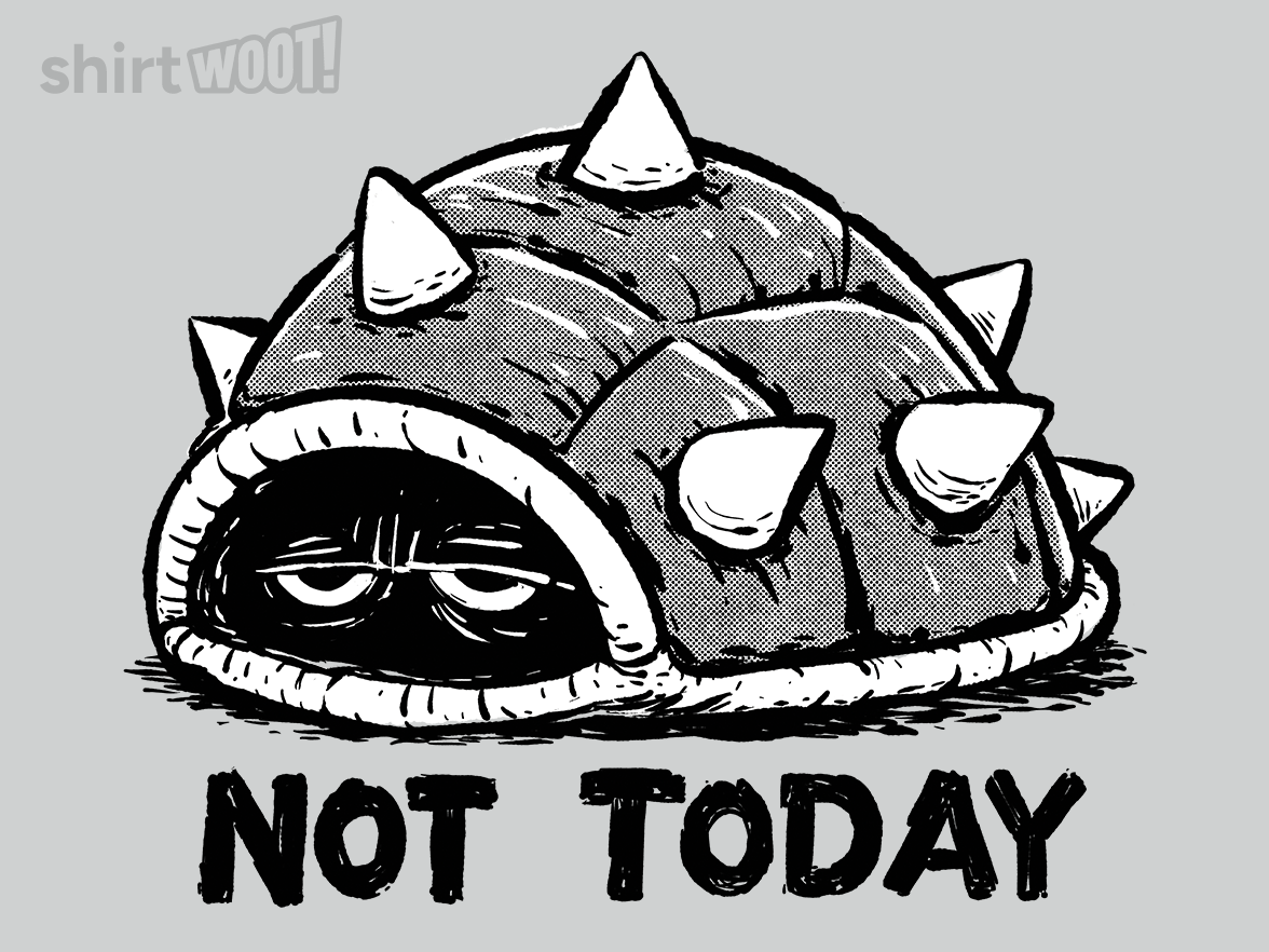 Not Today Turtle - Gallery 4