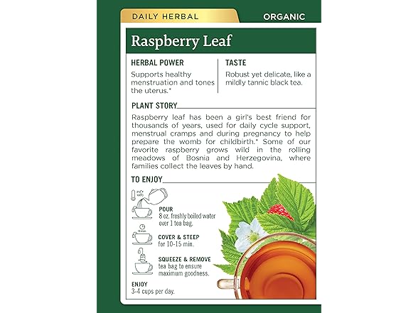 Traditional Medicinals Raspberry Tea 16ct
