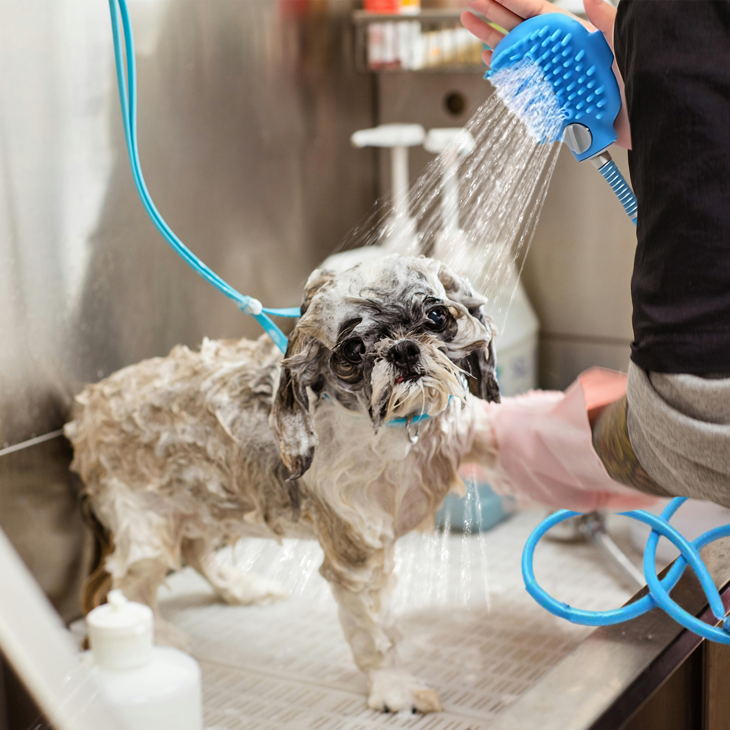 3 P Experts Pet Shower Attachment - Gallery 7