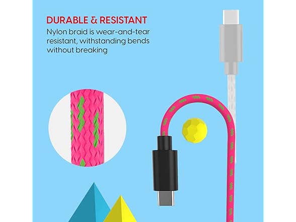 TalkWorks USB-C Charger Cable for Nintendo Switch